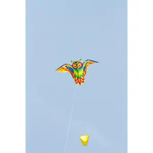 Eco-line kite HQ Kites image-1