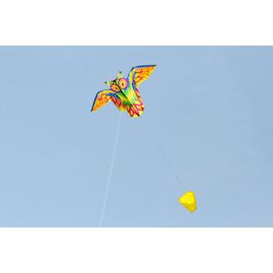 product/h/q/hq-kites_ecoowl_multicolore_3.jpg