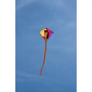 Kite HQ Kites Eddy Bronco image-1