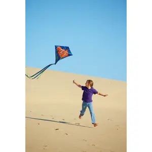 Kite HQ Kites Eddy Clownfish image-2