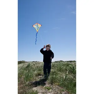 Kite HQ Kites Eddy Dragon image-1