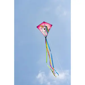 Kite HQ Kites Eddy image-1