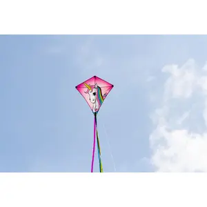 Kite HQ Kites Eddy image-2