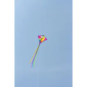 χαρταετός HQ Kites Eddy Perroquet image-1