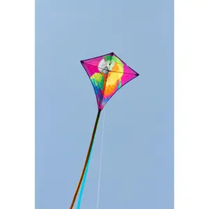 χαρταετός HQ Kites Eddy Perroquet image-2