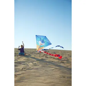 Papagaio HQ Kites Eddy Sharky image-4