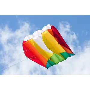 Kite HQ Kites Kap foil image-2