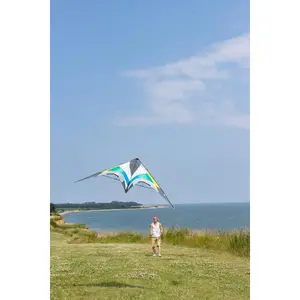 Cometa HQ Kites Maestro III image-2