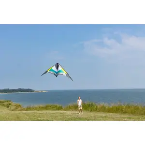 Cometa HQ Kites Maestro III image-4