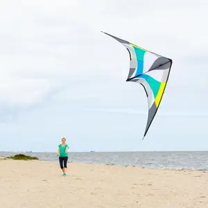 Cometa HQ Kites Maestro III image-5