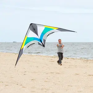 Cometa HQ Kites Maestro III image-6