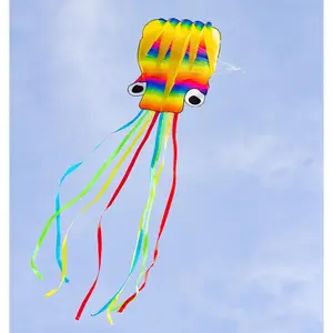 Drake HQ Kites Octopus Rainbow image-1