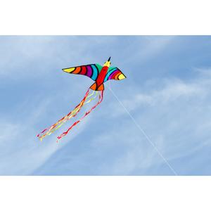 product/h/q/hq-kites_trobi_multicolore_5.jpg