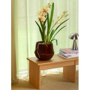 Pot Hubsch Interior Vibe (x2) image-2