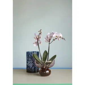 Zylindervasen Hubsch Interior Leo (x2) image-1