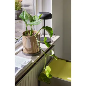 Επιτραπέζια λάμπα Hubsch Interior Velo image-1