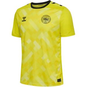 225022-5269-maillot-del-portero-de-dinamarca-2024-amarillo-brillante