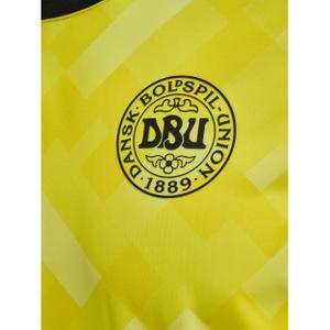 Maillot del portero de Dinamarca 2024 image-2