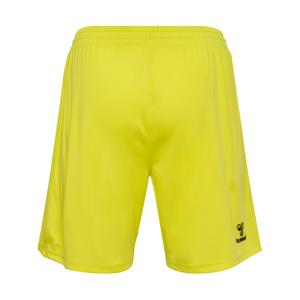 Denmark goalkeeper shorts 2024 image-1