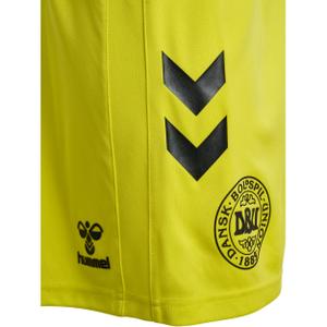 Denmark goalkeeper shorts 2024 image-2