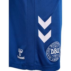 Denmark goalkeeper shorts 2024 image-2