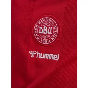 Hjemmebane Trøje Barn Danmark Coupe du Monde 2026 image-3