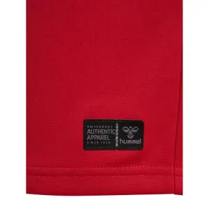 Hjemmebane Trøje Barn Danmark Coupe du Monde 2026 image-4