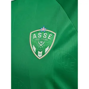 Domaželský dres ASSE 2026/27 image-3