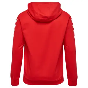 Sudadera con capucha Hummel hmlCORE cotton image-1
