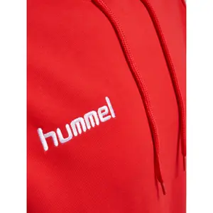 Sudadera con capucha Hummel hmlCORE cotton image-3