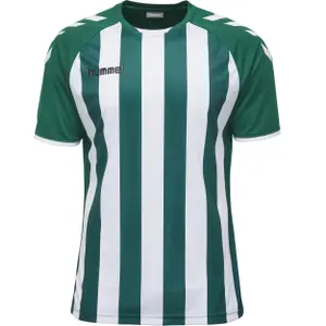 Camiseta para niños Hummel hmlCORE Striped image-2