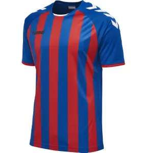 Camiseta para niños Hummel hmlCORE Striped image-0