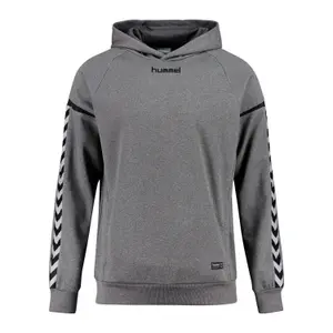 Children's hooded sweatshirt Hummel auth charge poly image-0