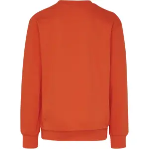 Sudadera niño Hummel hmldos image-1