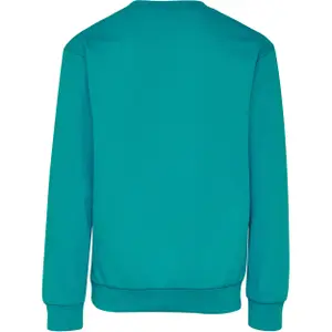 Sudadera niño Hummel hmldos image-1