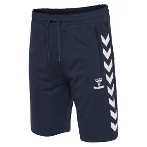 Corto Hummel ray image-2