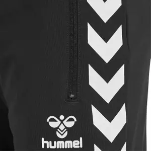 Corto Hummel ray image-3