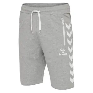 Corto Hummel ray image-2