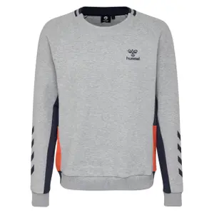 Sudadera Hummel hmlmaestro image-0