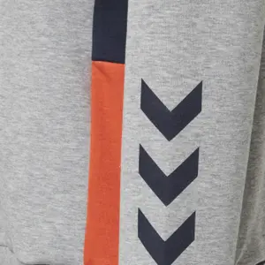 Sudadera Hummel hmlmaestro image-3