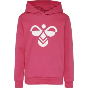 Sudadera con capucha Hummel hmlcuatro image-0