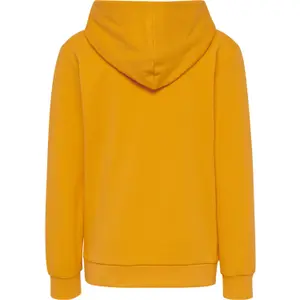 Sudadera con capucha Hummel hmlcuatro image-1