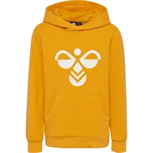 Sudadera con capucha Hummel hmlcuatro image-0
