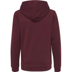 Sudadera con capucha Hummel hmlcuatro image-2