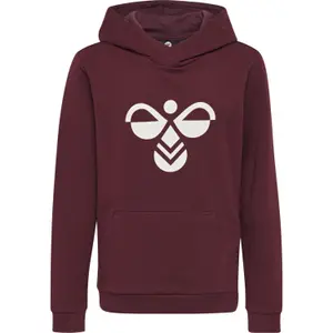 Sudadera con capucha Hummel hmlcuatro image-0
