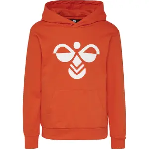 Sudadera con capucha Hummel hmlcuatro image-0