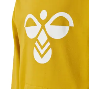 Sudadera con capucha Hummel hmlcuatro image-3