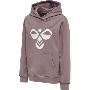 Child hoodie Hummel Cuatro image-0