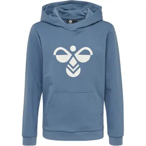 Kid hoodie Hummel hmlcuatro image-0