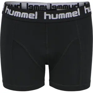 Lote de 2 calzoncillos para niño Hummel hmlboxers image-5